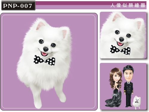 白色博美犬q画